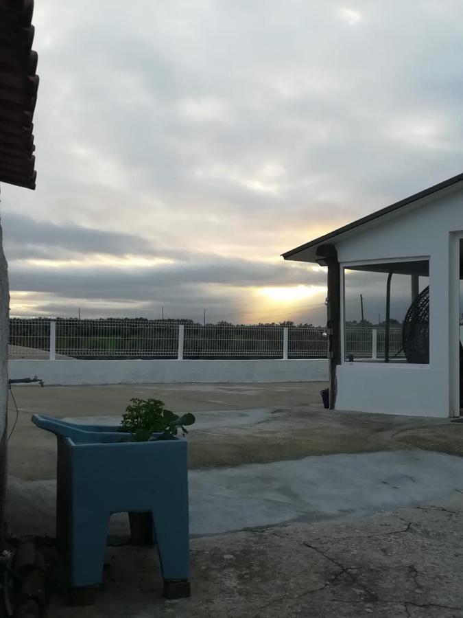 Snow Guest House 산타렘 외부 사진